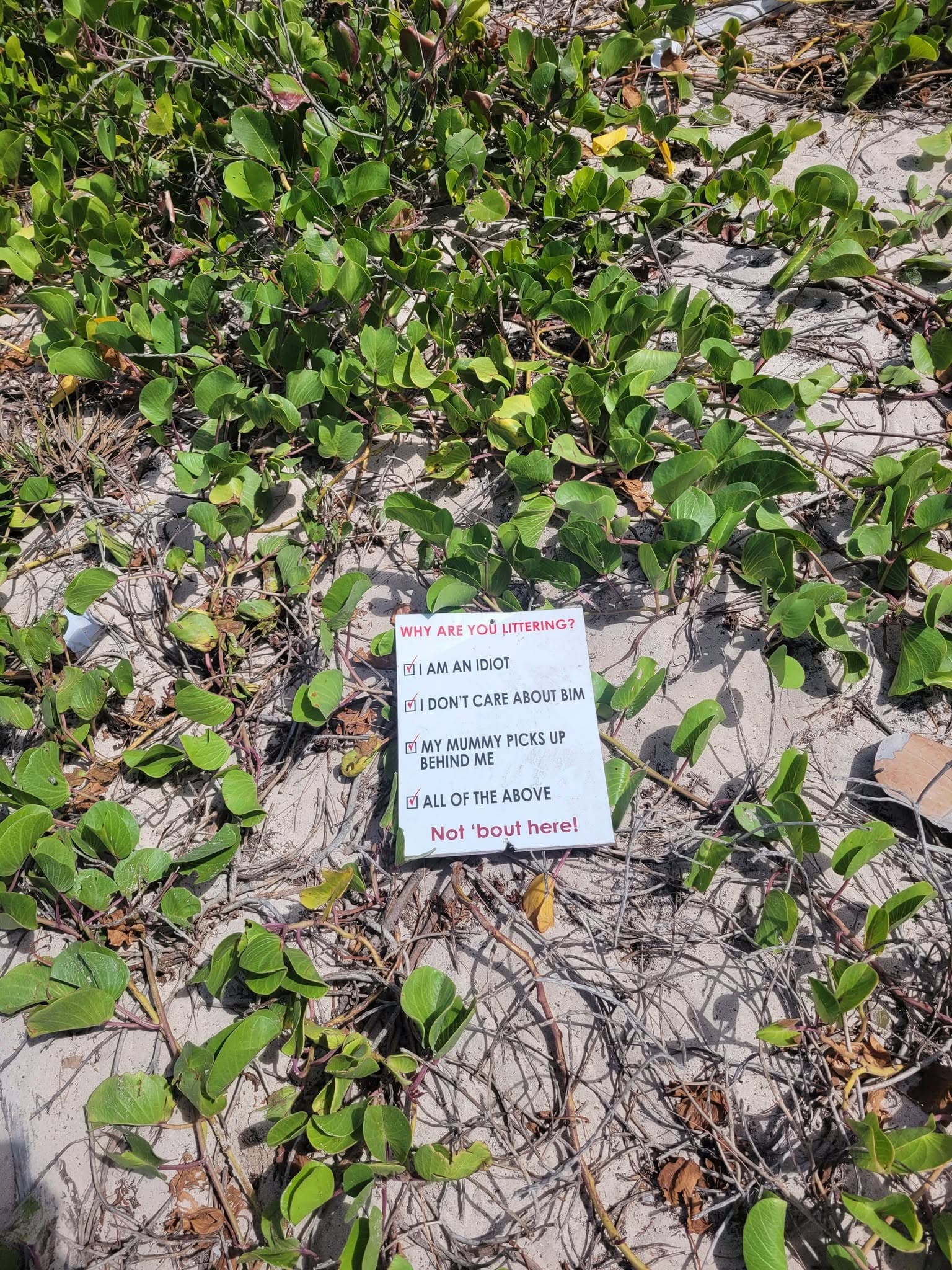 Community Cleanup Support