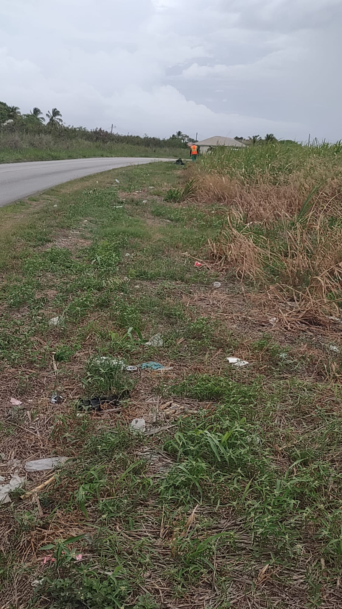 September 13th Cleanup