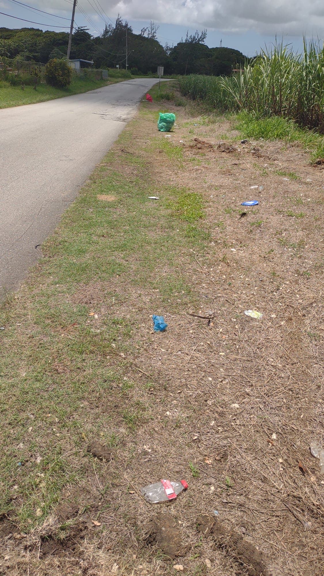 September 3rd Cleanup