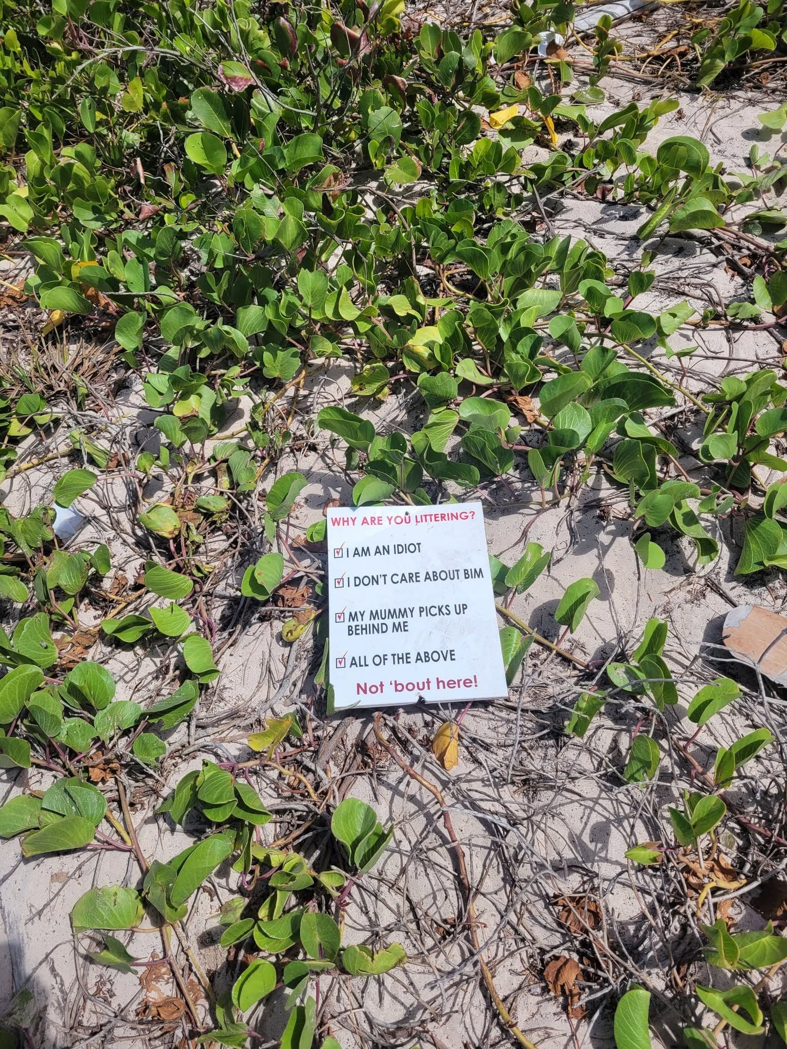 Community Cleanup