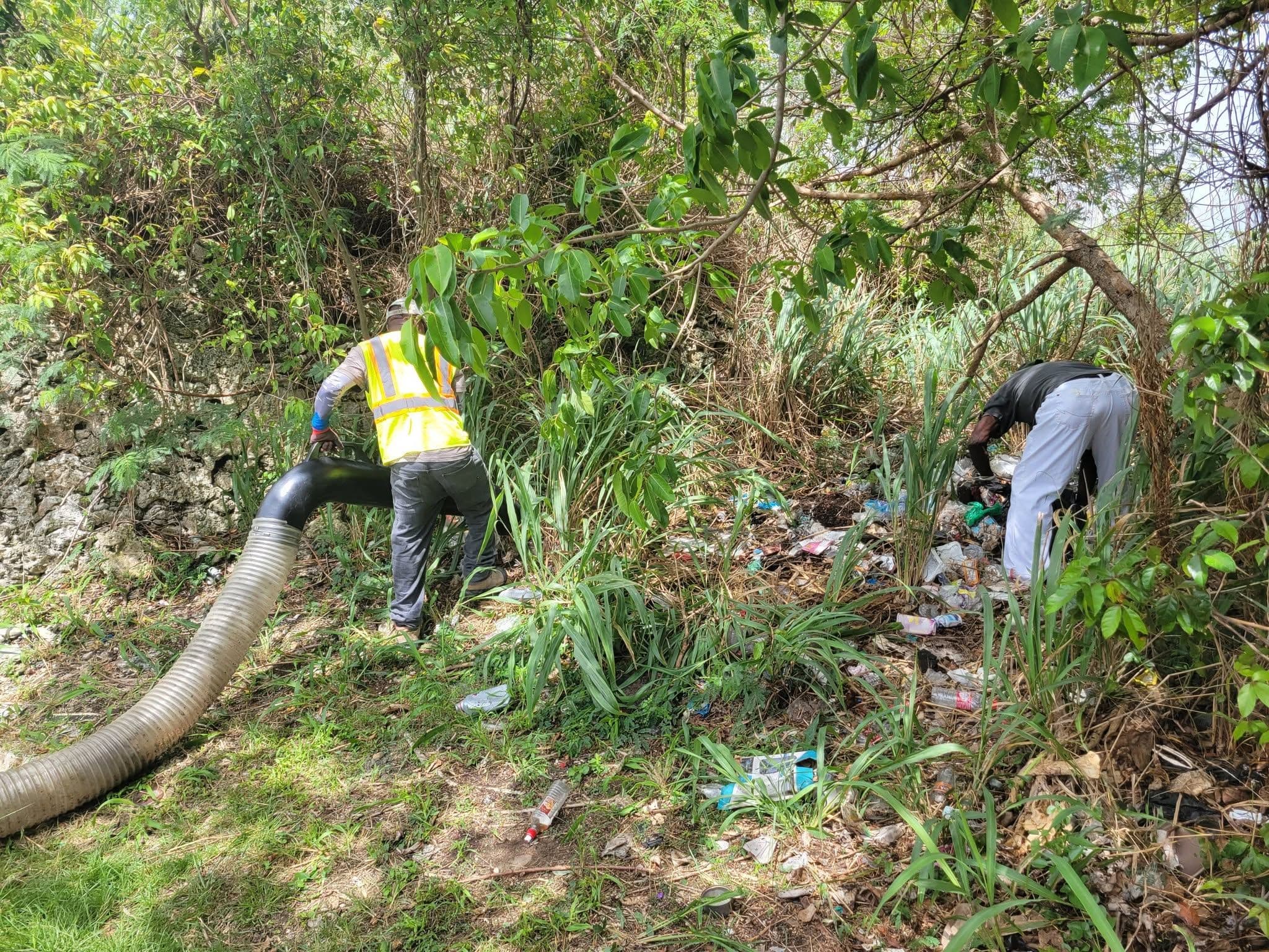 Community Cleanup
